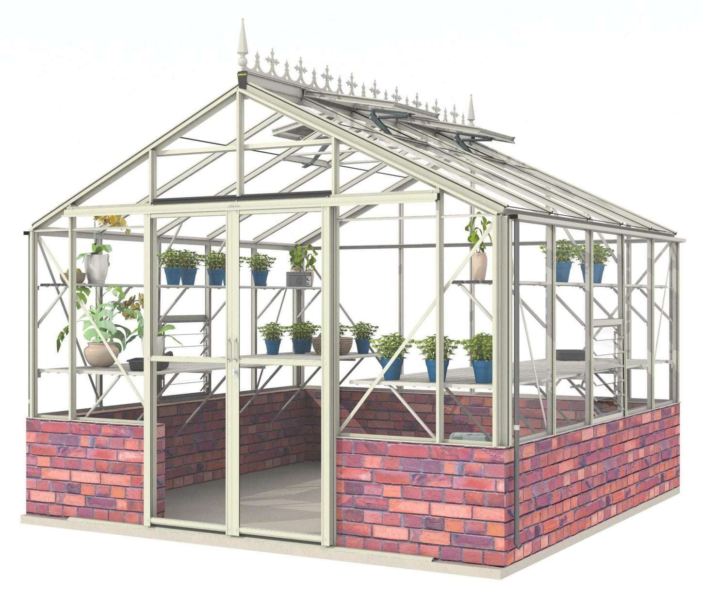 Robinsons Rosette Dwarf Wall