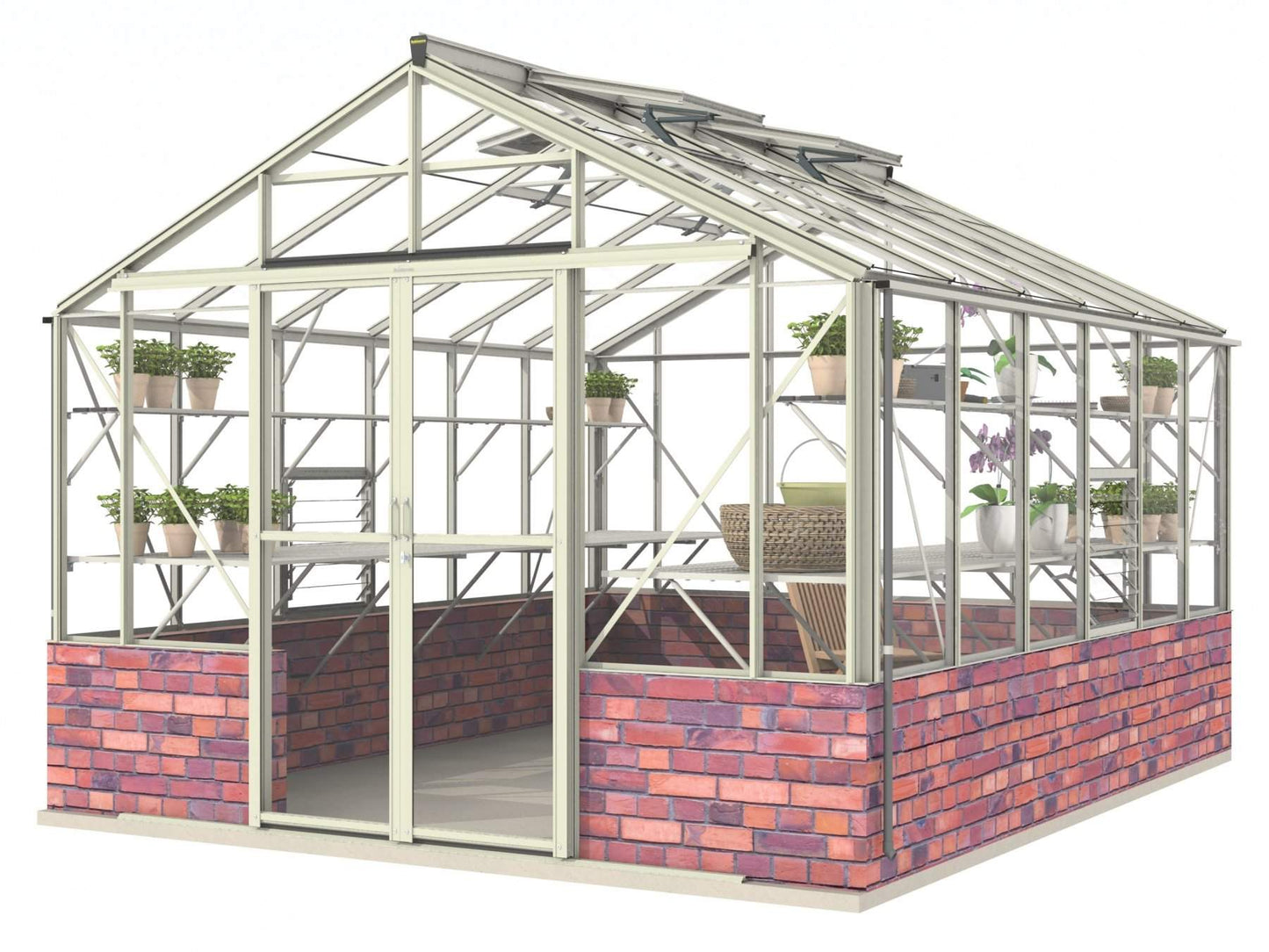 Robinsons Rosette Dwarf Wall