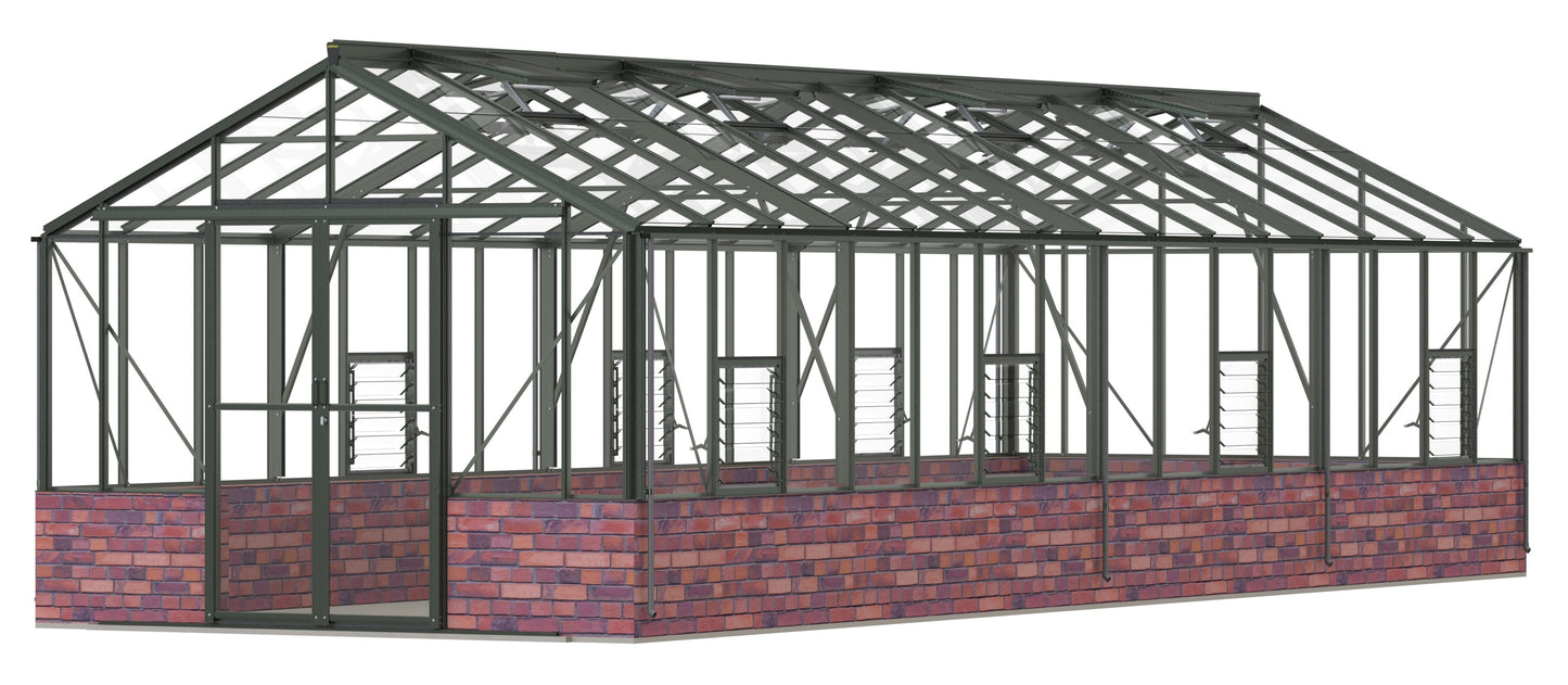 Robinsons Rosette Dwarf Wall