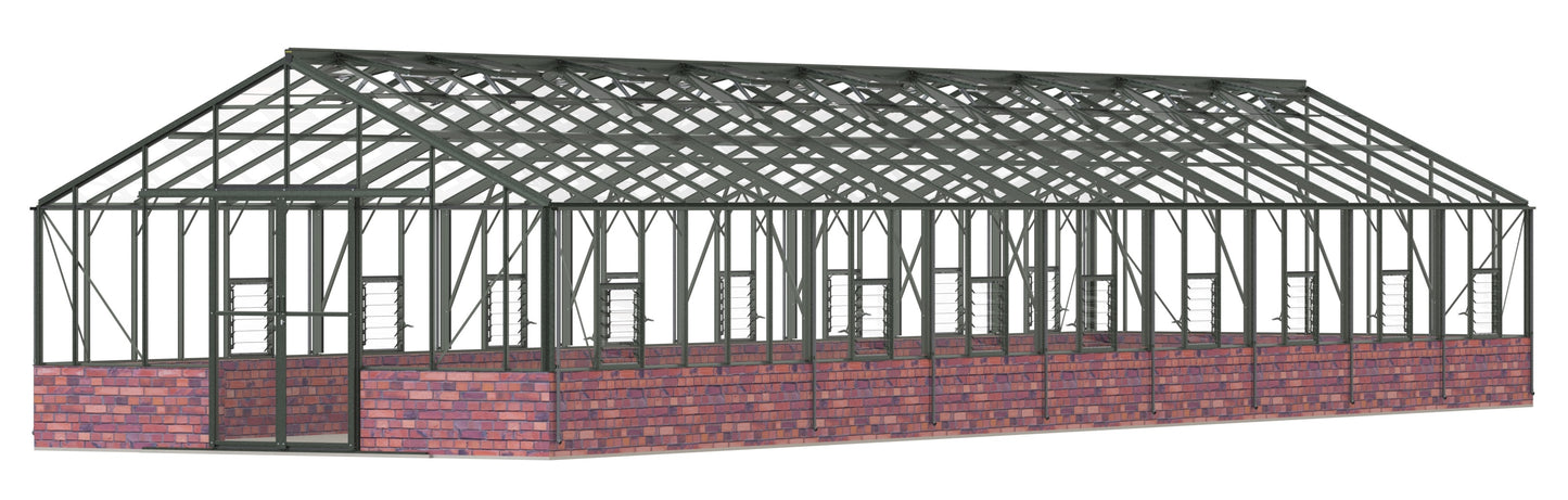 Robinsons Renown Dwarf Wall