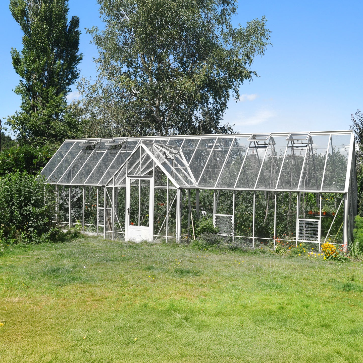 Robinsons Reicliffe Dwarf Wall