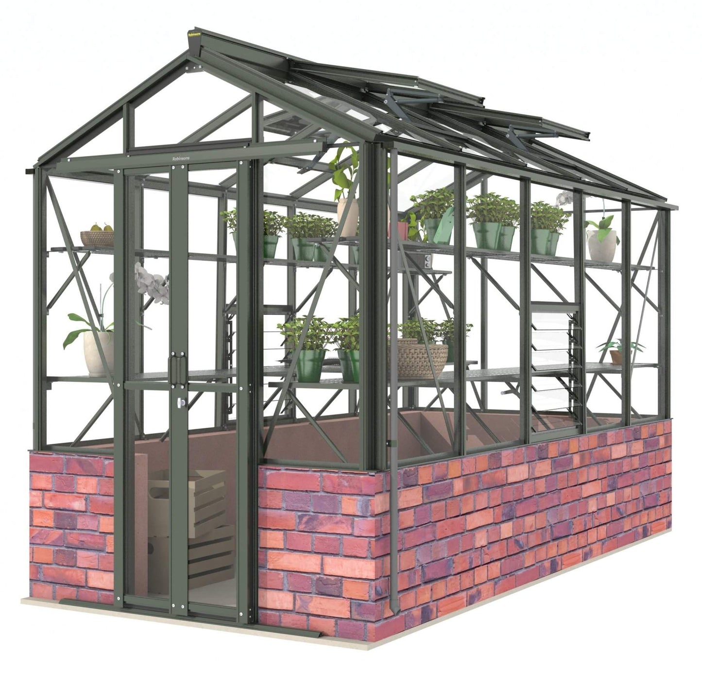 Robinsons Regatta Dwarf Wall