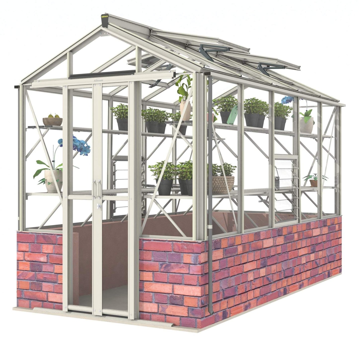 Robinsons Regatta Dwarf Wall