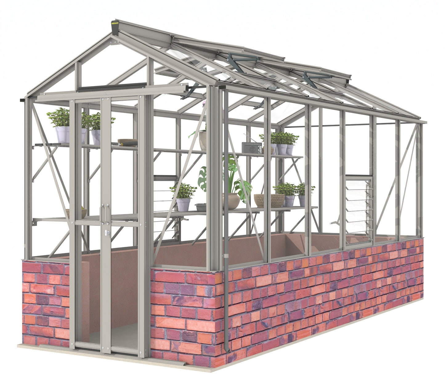 Robinsons Regatta Dwarf Wall