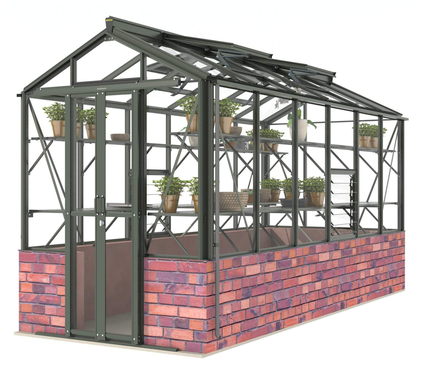 Robinsons Regatta Dwarf Wall