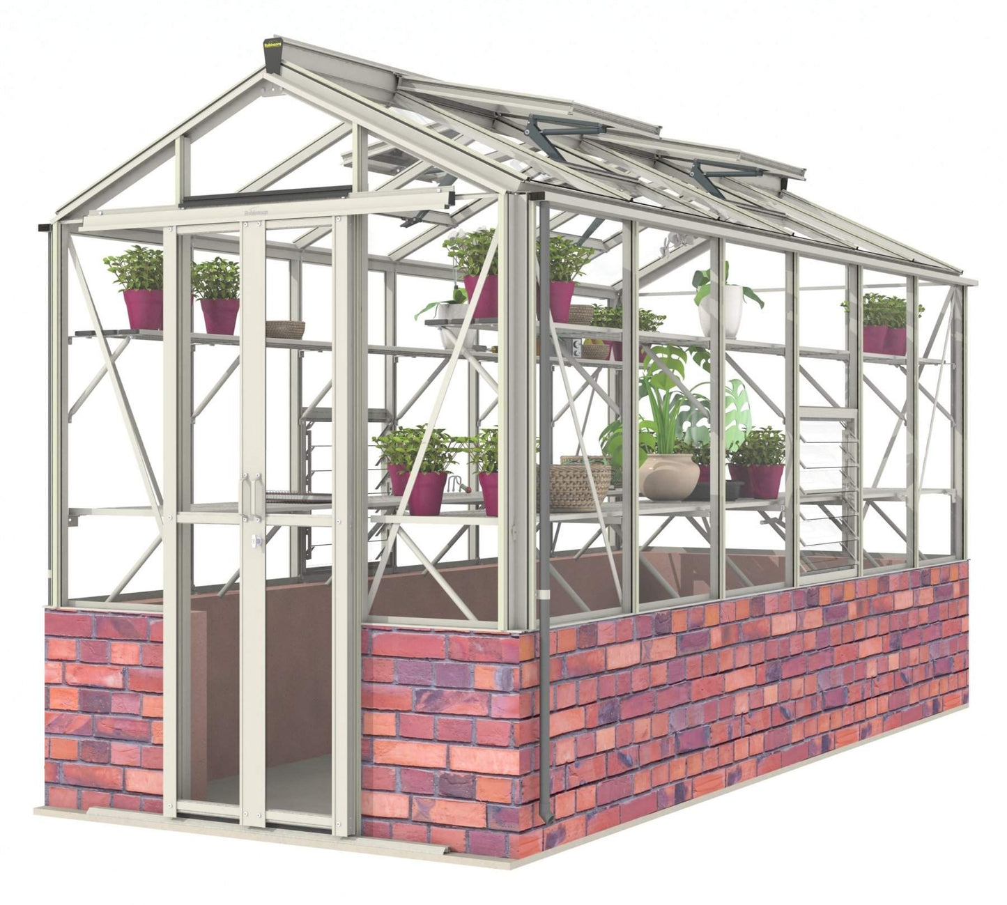 Robinsons Regatta Dwarf Wall