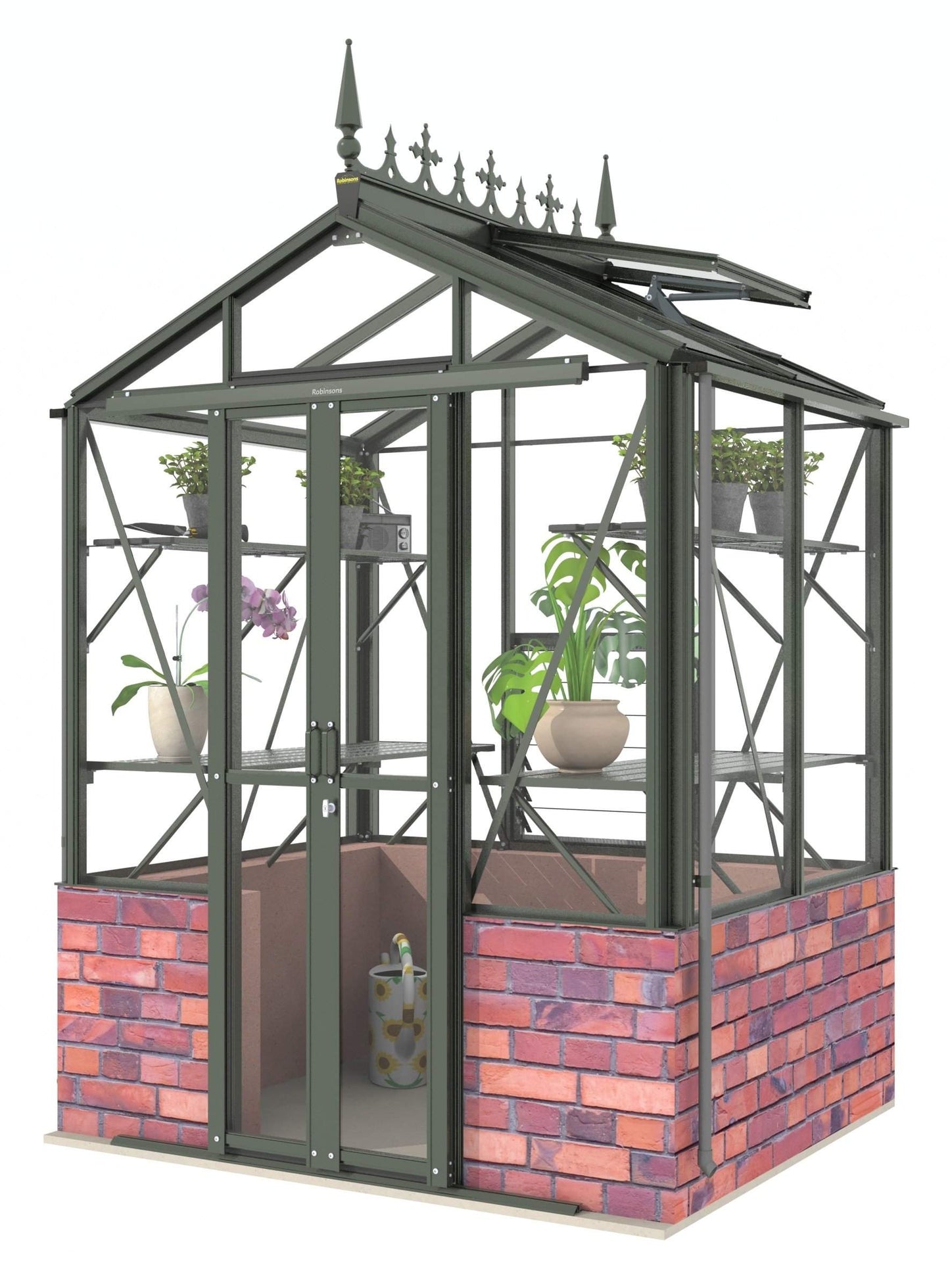 Robinsons Regatta Dwarf Wall