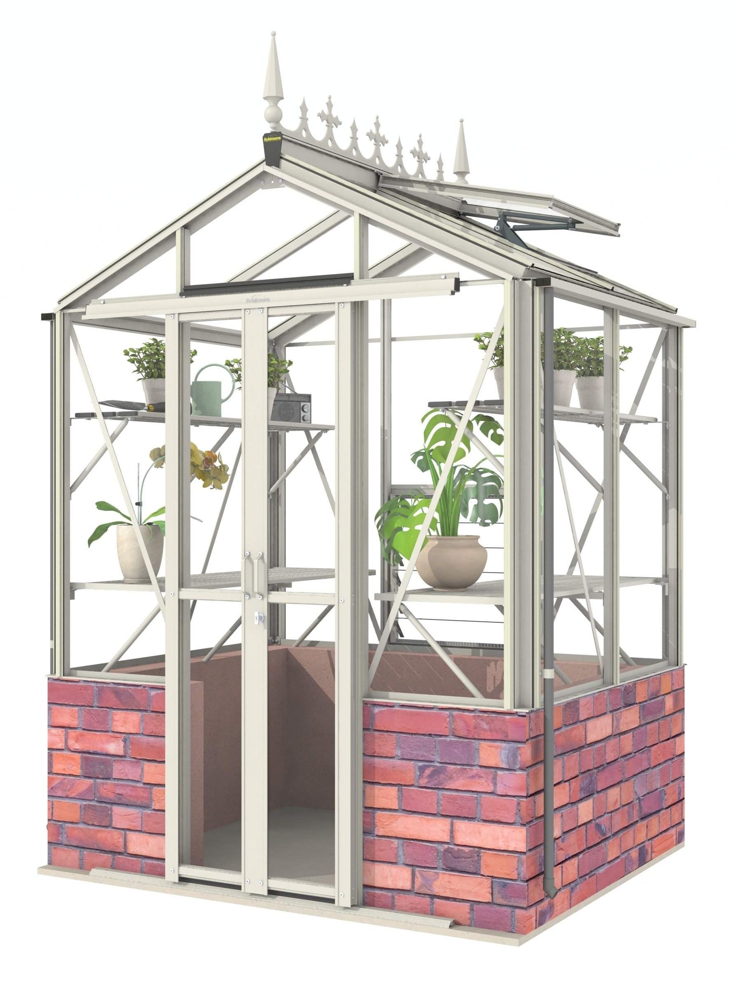 Robinsons Regatta Dwarf Wall