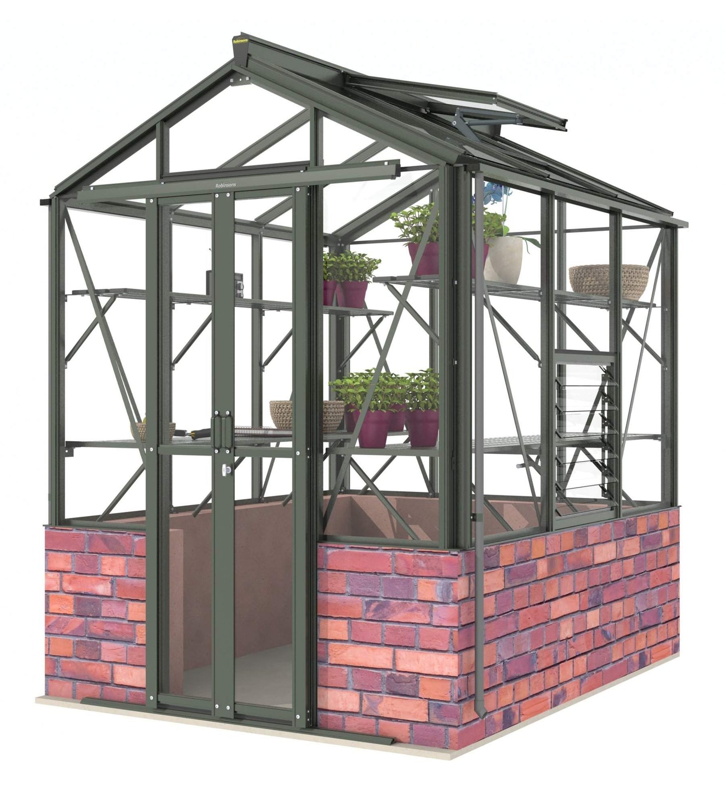 Robinsons Regatta Dwarf Wall