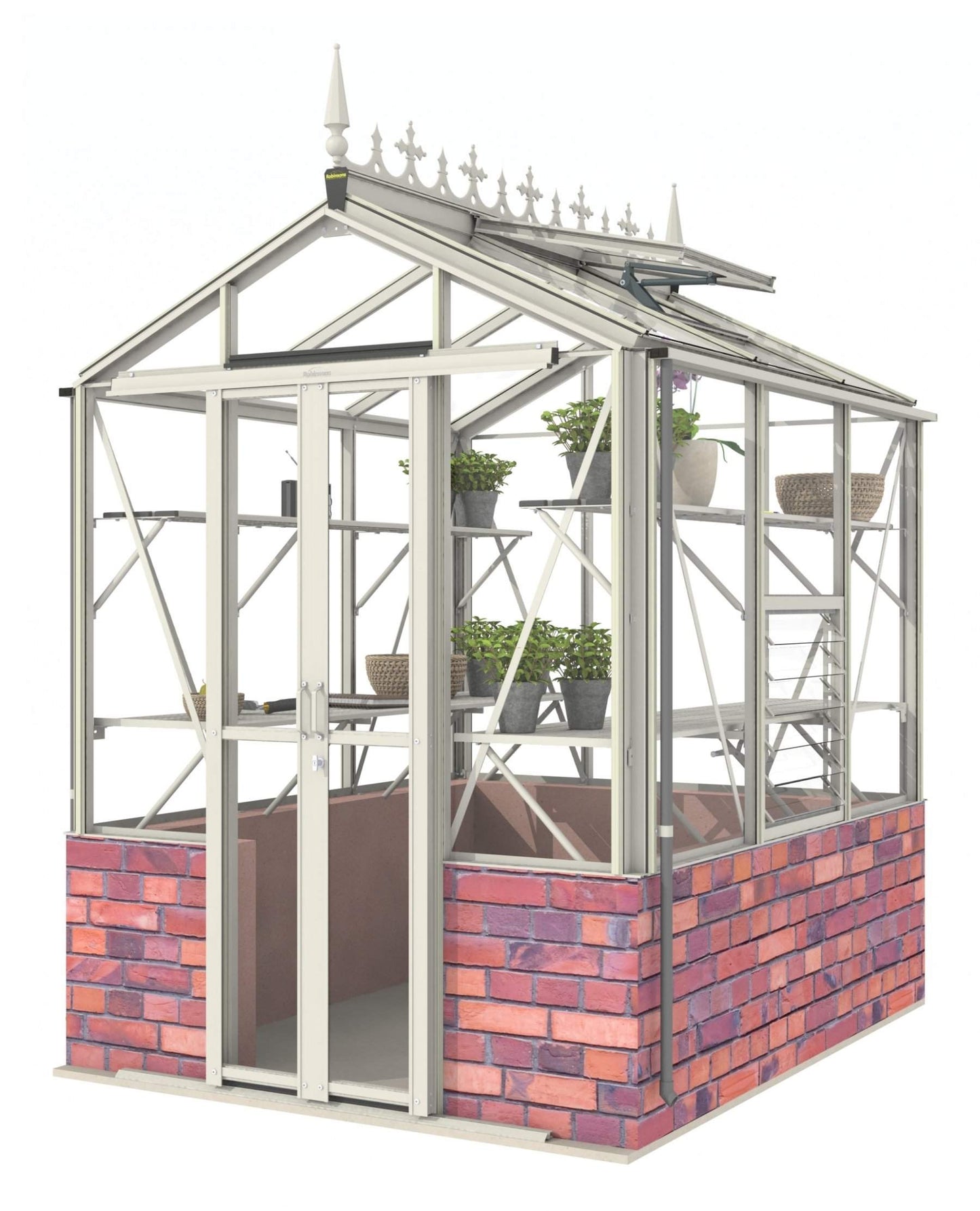 Robinsons Regatta Dwarf Wall