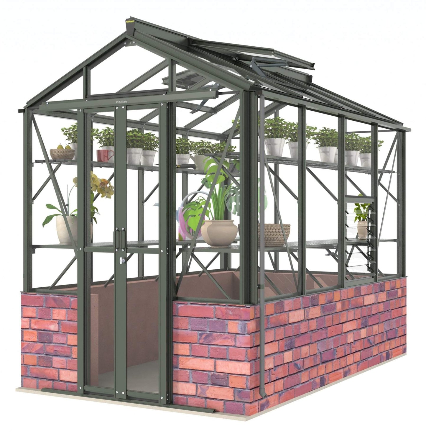 Robinsons Regatta Dwarf Wall