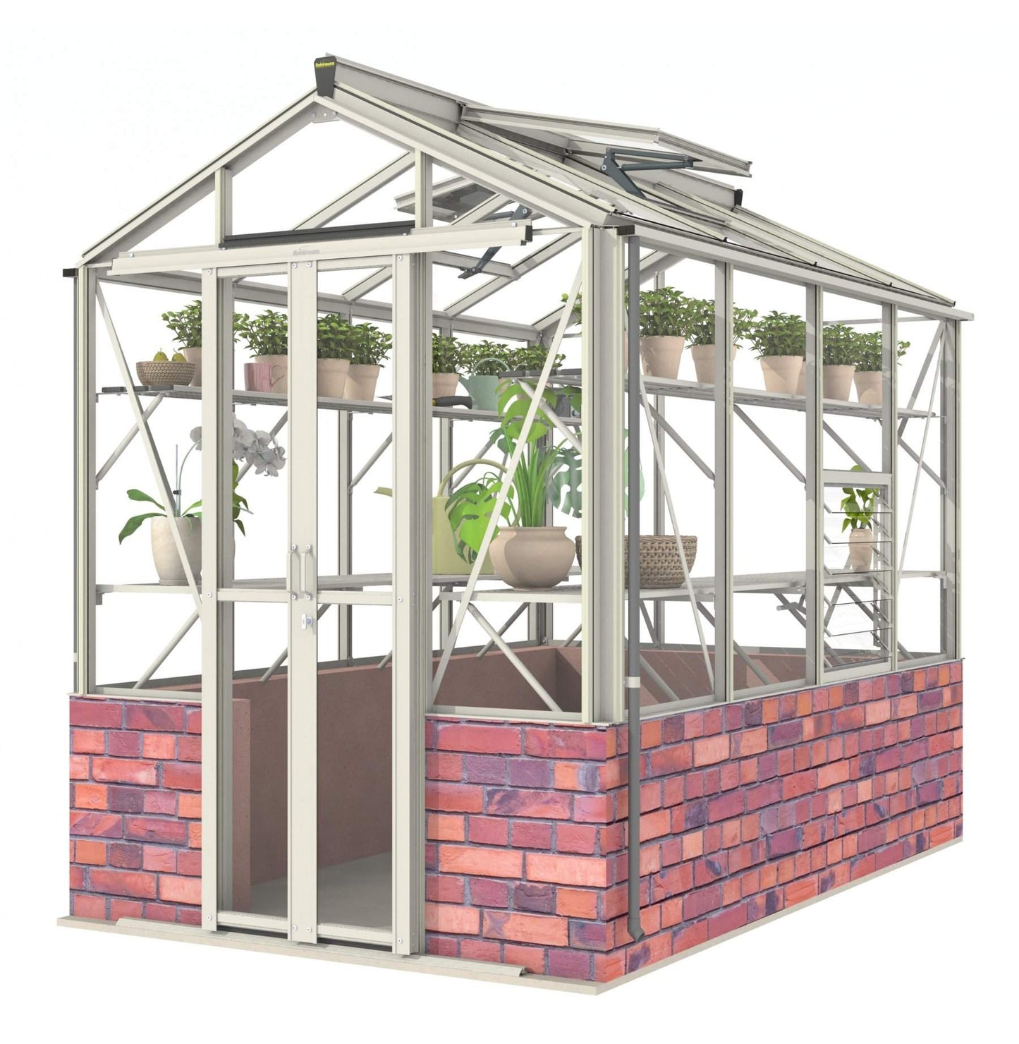 Robinsons Regatta Dwarf Wall