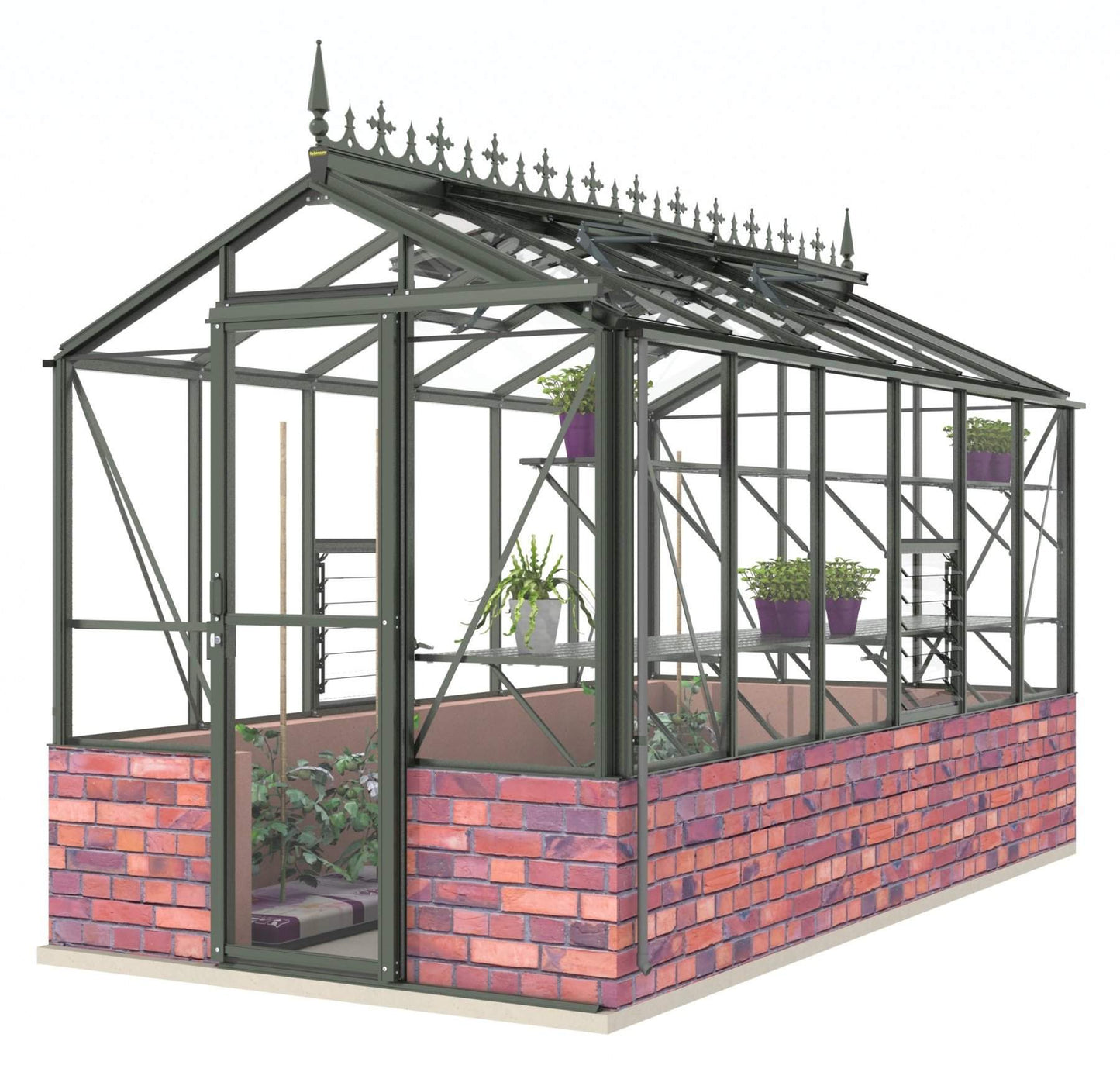 Robinsons Regent Dwarf Wall