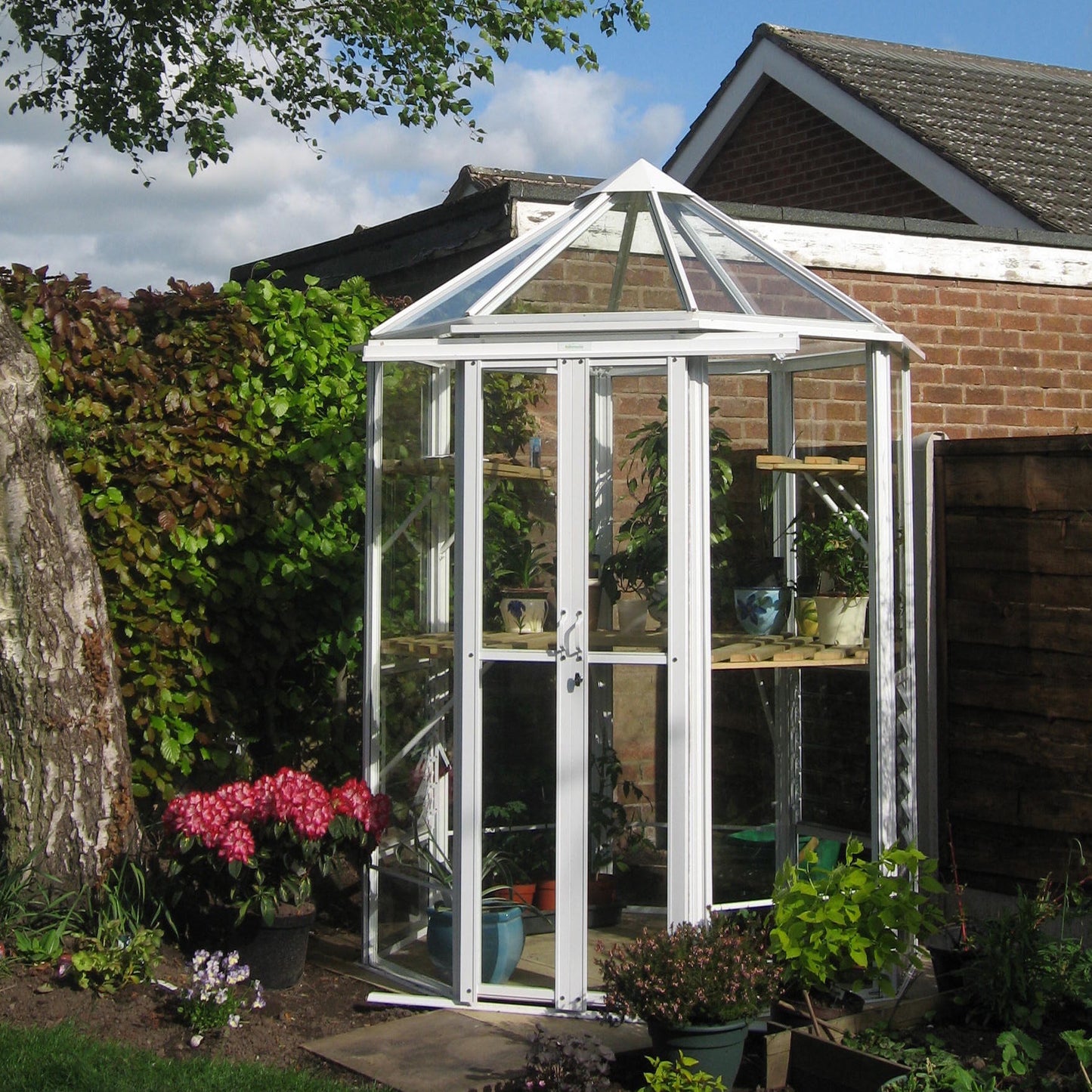 Robinsons Renaissance