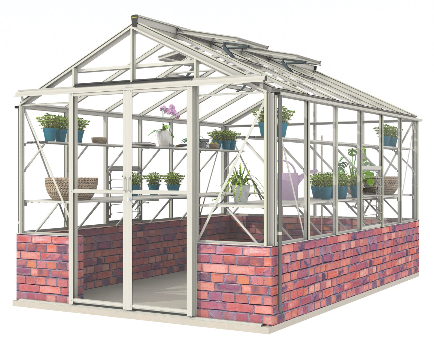 Robinsons Royale Dwarf Wall