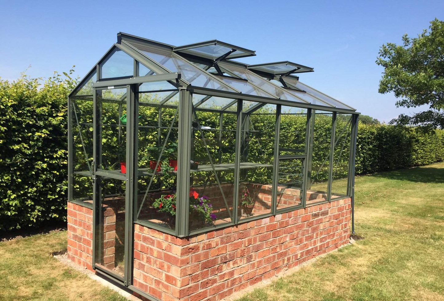 Robinsons Regent Dwarf Wall