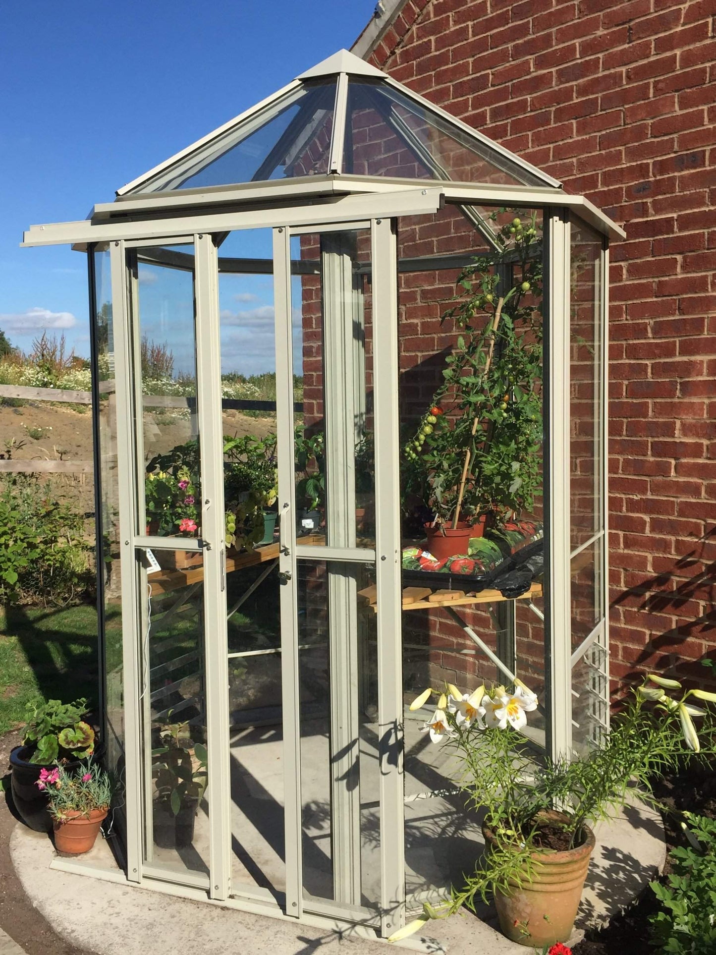 Robinsons Renaissance