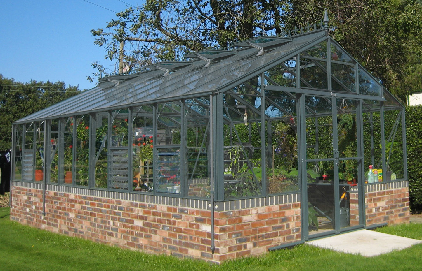 Robinsons Regal Dwarf Wall