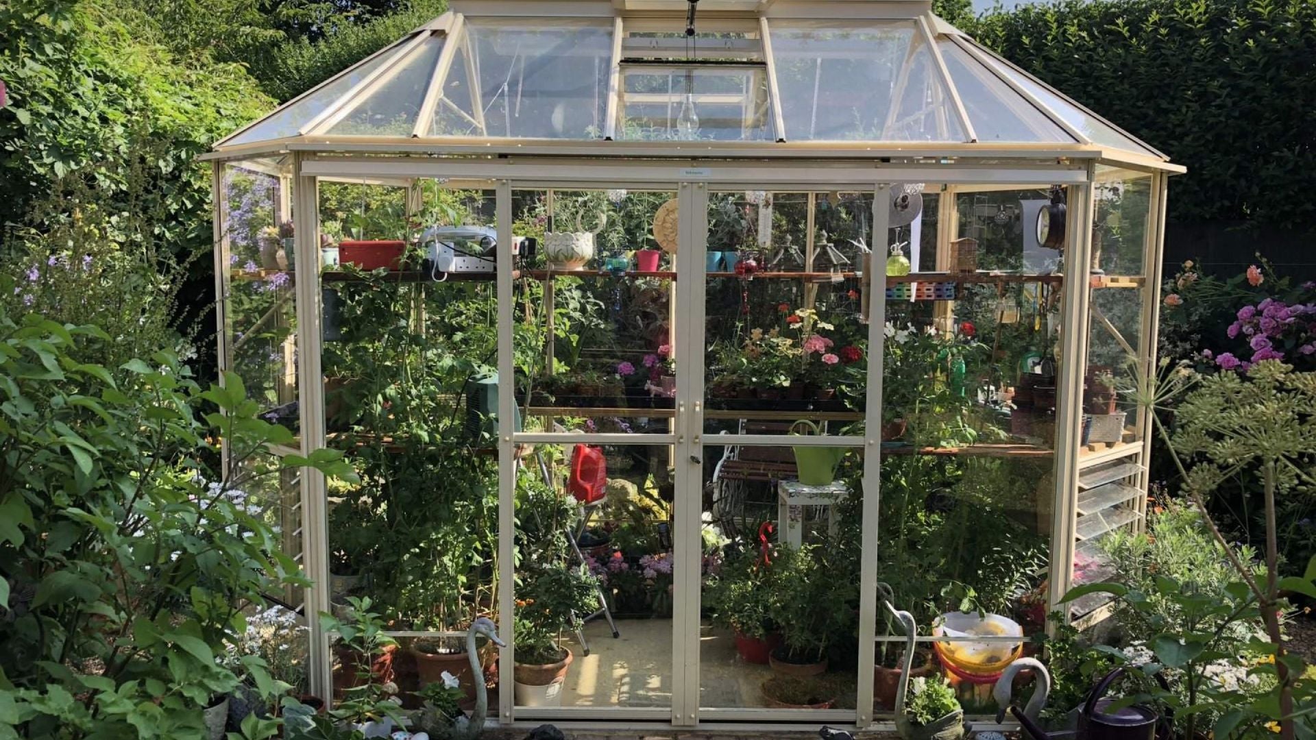 Classic Greenhouses Robinsons Greenhouses