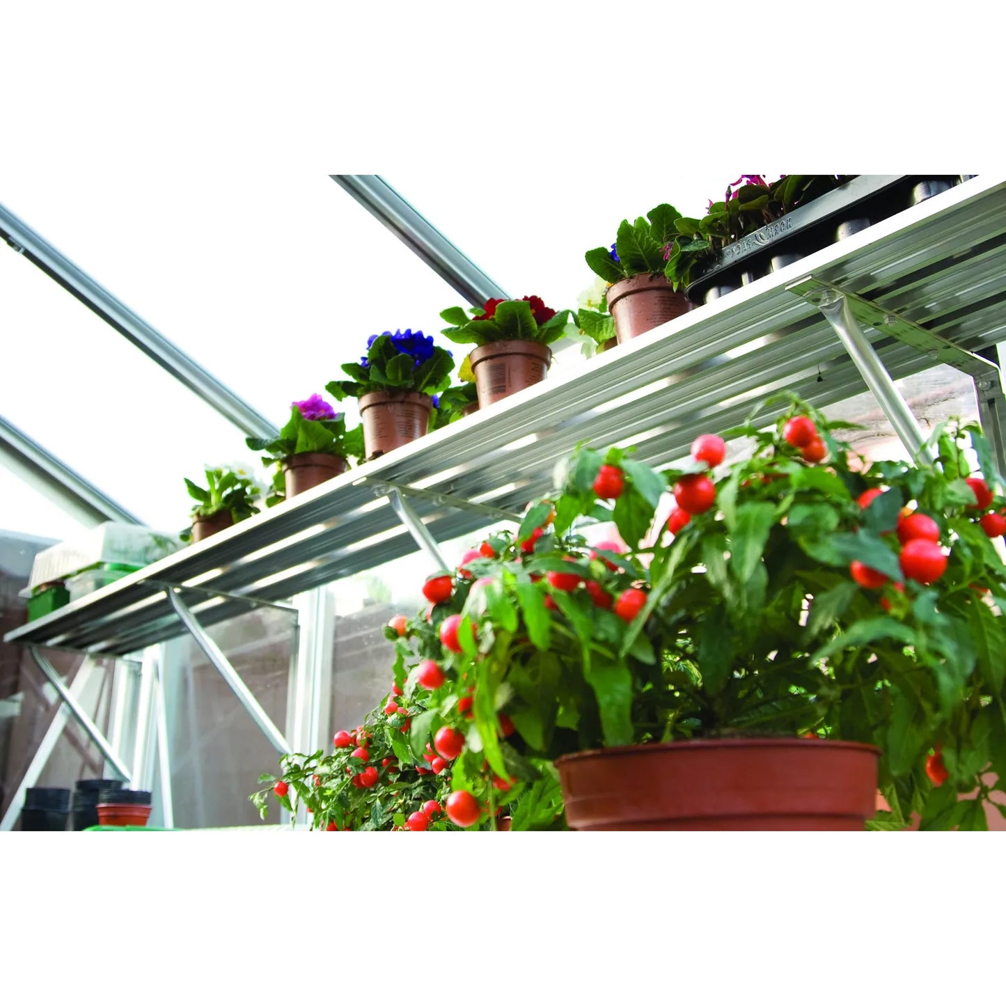 Robinsons 3 Slat Shelf